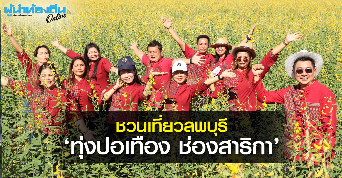 ชวนเที่ยว “ทุ่งปอเทือง ช่องสาริกา” ลพบุรี